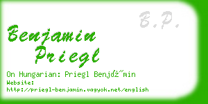 benjamin priegl business card